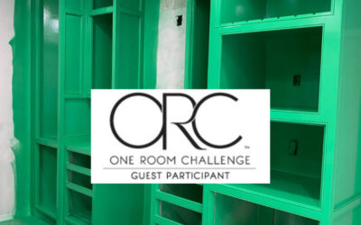 One Room Challenge Spring 2021 – Week 4 – Kitchen Renovation
